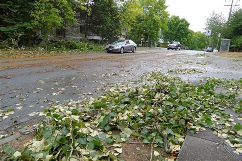 Windstorm Damage editorial photo. Image of fallen, disaster - 59059416