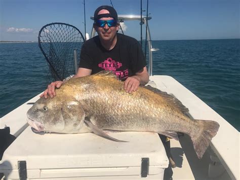 Cocoa Beach Fishing Report - February 03, 2017 | FISHTRACK.COM