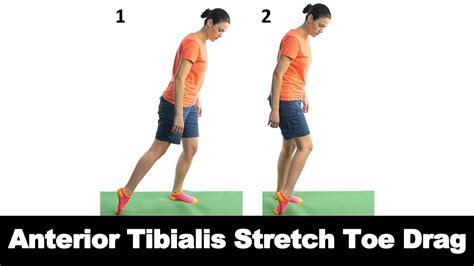 Seated Tibialis Anterior Stretch