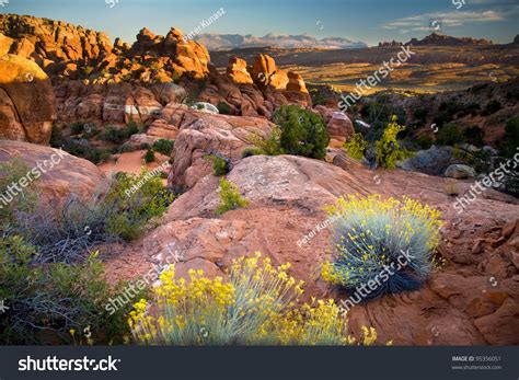 Southwest Landscape Stock Photo 95356051 | Shutterstock