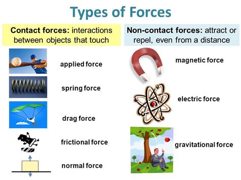 Contact and Non-contact forces | Science - Quizizz