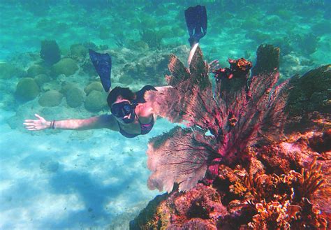 Epic Self-Guided Snorkeling in Curaçao — Deviating the Norm