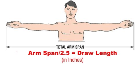 How to Adjust the Draw Length for Compound Bows