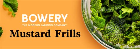 Bowery Farming Launches New Farmers Selection Product Line | AndNowUKnow