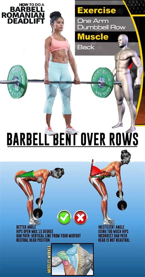 √ Barbell Rows Proper Form