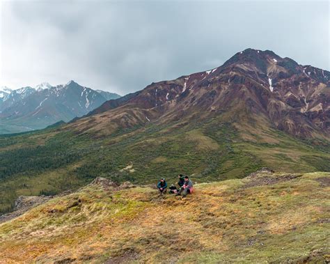 Denali National Park: Ultimate Guide to Hiking, Camping and Wildlife Viewing • Nomads With A Purpose