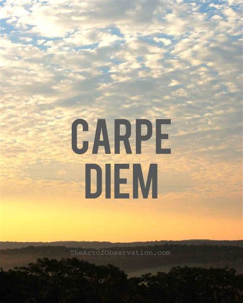 Significado do termo Carpe Diem | Citações motivacionais para a vida, Citações de inspiração ...