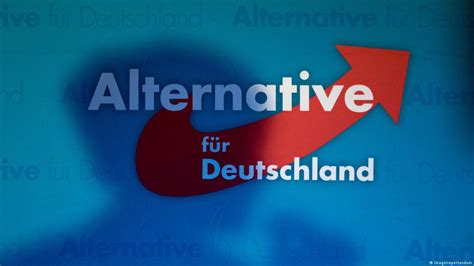 AfD leaders and their most offensive remarks – DW – 09/28/2020