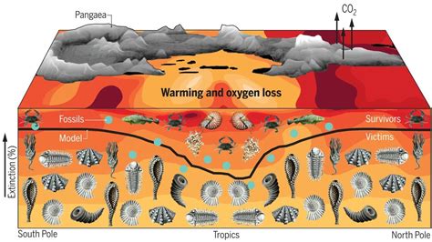 The largest extinction in Earth's history marked the end of the Permian period, some 252 million ...