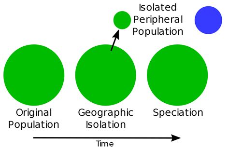 What is the Difference Between Allopatric and Peripatric Speciation ...