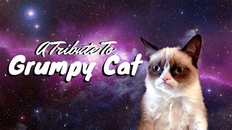 Grumpy Cat Tribute - YouTube