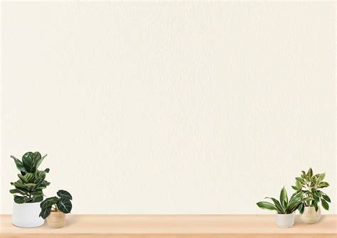 Plants on shelf background design | Free Photo - rawpixel