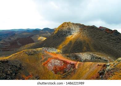 4,951 Galapagos isabela island Images, Stock Photos & Vectors ...