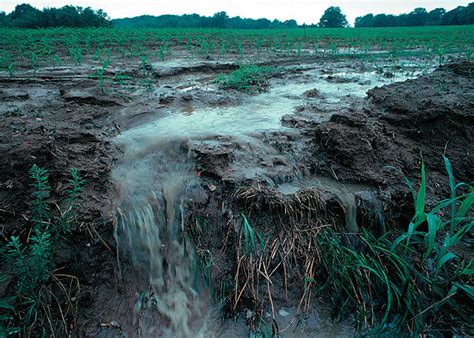 Water Pollution Control Policy: Addressing Non-Point Source Pollution - Inquiries Journal