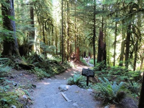 Sol Duc Falls Trail - Olympic National Park | Park Ranger John