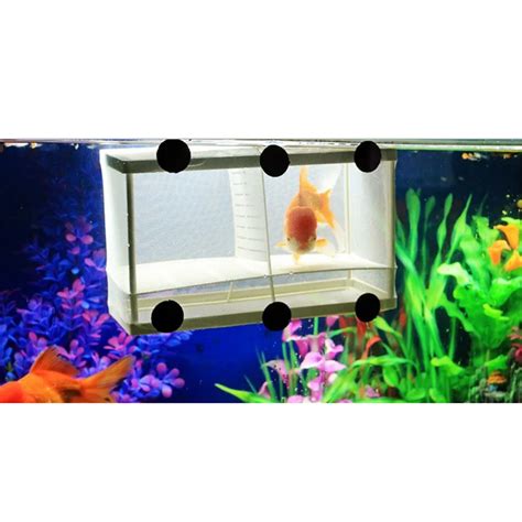 Fish Breeding Incubator Net Hanging Fry Baby Fish Hatchery Isolation Box Fish Tank Aquarium ...