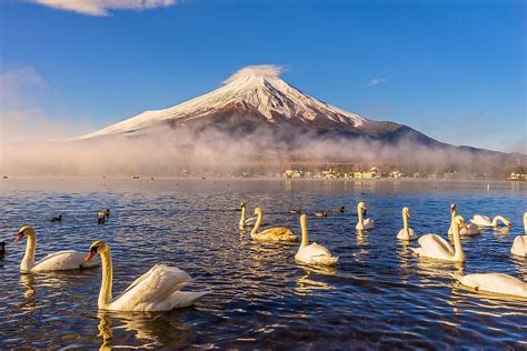 Mount Fuji - WorldAtlas