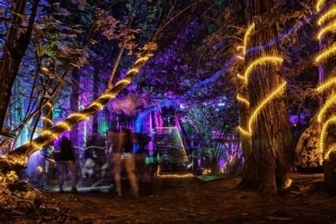 Shambhala Music Festival Announces 2023 Lineup | To Do Canada | Flipboard