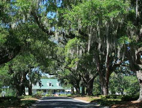 Legend Oaks Plantation Homes for Sale: Summerville, SC