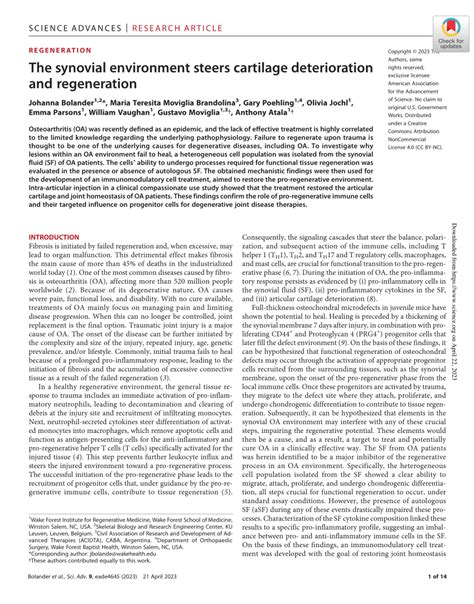 (PDF) The synovial environment steers cartilage deterioration and regeneration