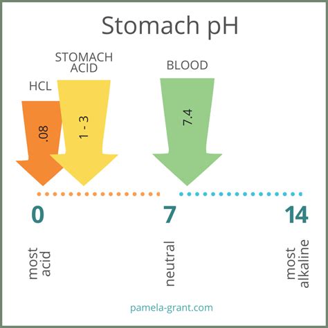 Gastric Acid Ph