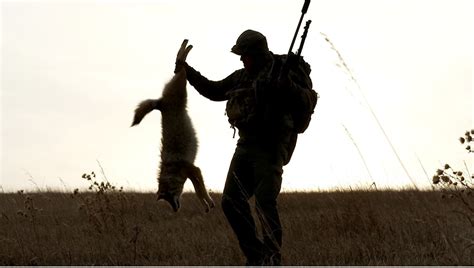 GUIDE TO SUCCESSFUL COYOTE HUNTING - Safari Club