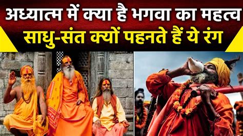 Saffron Colour in Hinduism: हिंदू धर्म में Bhagwa Color क्यों है खास ...