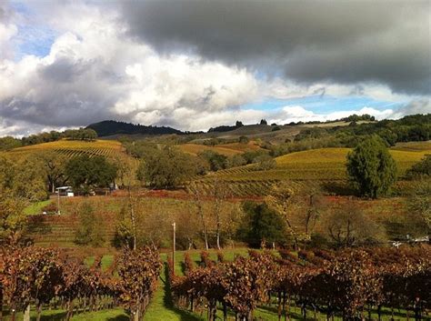 Where to Eat & Drink Wine in Healdsburg, California - Savored Journeys