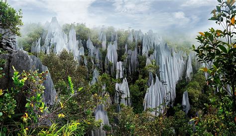 Gunung Mulu National Park, Malaysia - WorldAtlas