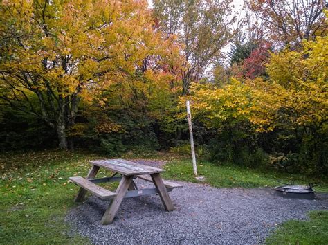 Red Creek Campground - Dolly Sods, WV