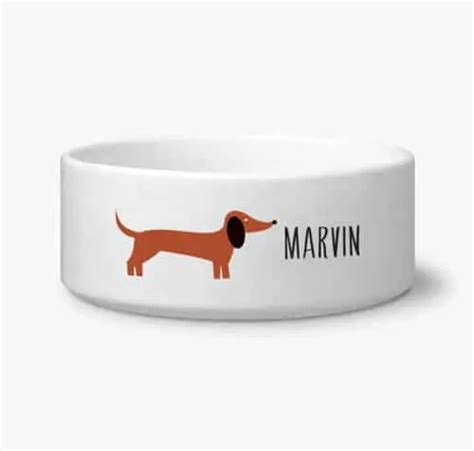 Dachshund Accessories for Dogs | dachshund-central