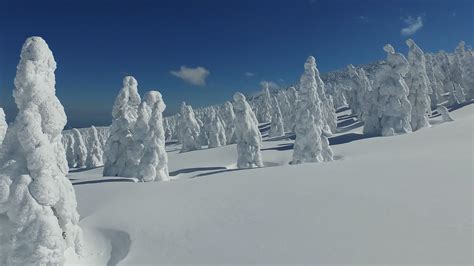 Zao Snow Monster Festival | JAPAN and more