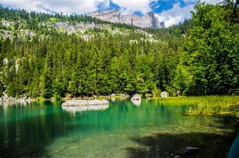 Premium Photo | Landscape of the alps in france in summer