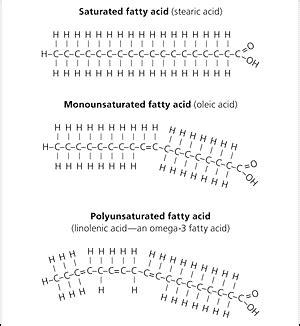 Dietary Fatty Acids | AAFP