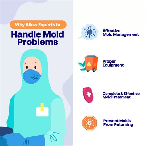 Mold Damage Prevention Tips - Deep Water Emergency Services