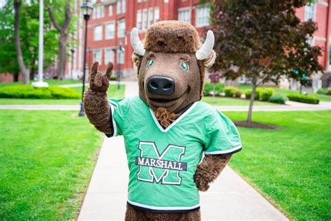 Marshall University Brand