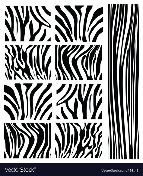 Zebra patterns Royalty Free Vector Image - VectorStock