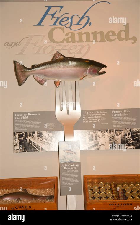 Fishing exhibit, Columbia River Maritime Museum, Astoria, Oregon Stock Photo - Alamy