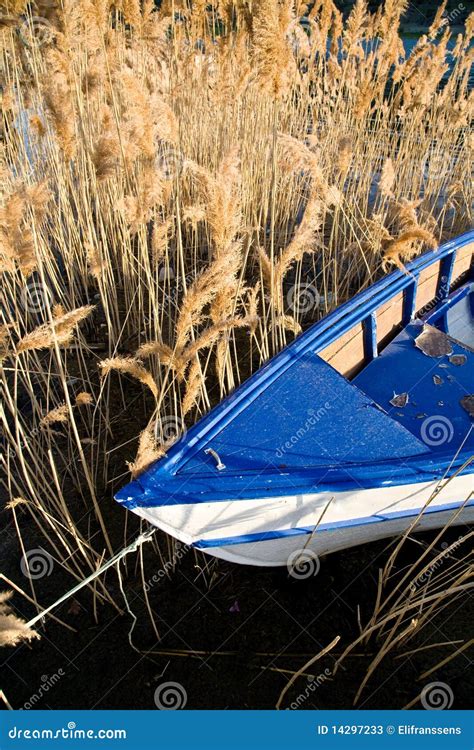 Boat and reed stock image. Image of blue, water, vessel - 14297233