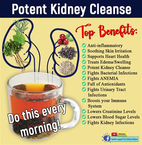 Is it really possible to get off kidney dialysis?: MOST POWERFUL KIDNEY CLEANSE