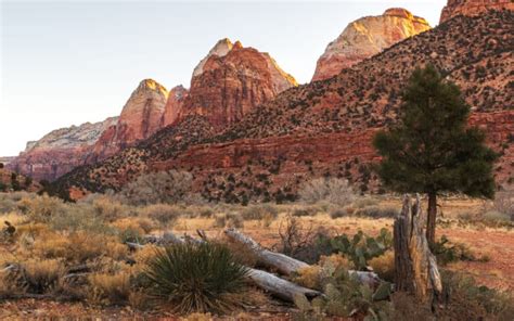 Camping Near Zion National Park and Bryce Canyon - PhotoJeepers