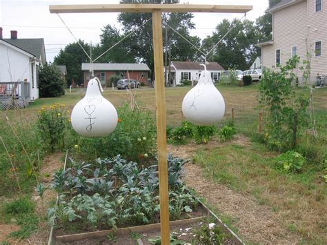 "A&J": Purple Martin Gourds