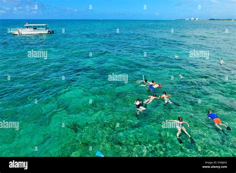 Bahamas, Grand Bahama Island, Freeport, diving and snorkeling off the Stock Photo: 47518788 - Alamy