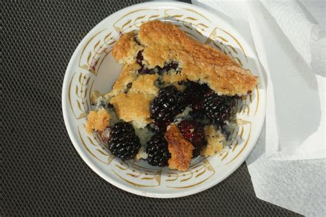 Wild Berry Desserts: Enjoy In Camp or At Home • BC Outdoors Magazine