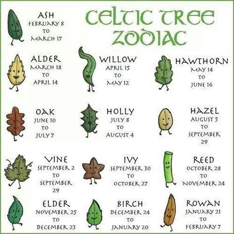 Celtic Tree Astrology | Horoscopo celta, Libro de las sombras, Celta