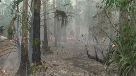 Okefenokee Swamp fire grows to more than 46,000 acres | 13wmaz.com