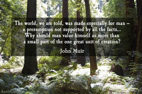 John Muir Quotes On Trees. QuotesGram