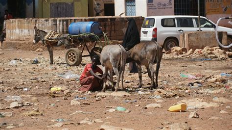 Somalia: Discovering Culture and Traditions