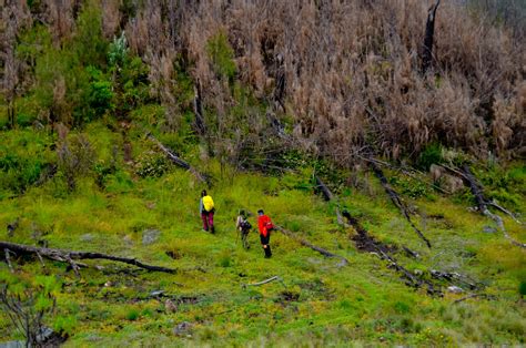 PAKET PENDAKIAN GUNUNG ARGOPURO - Wisata Gunung Indonesia