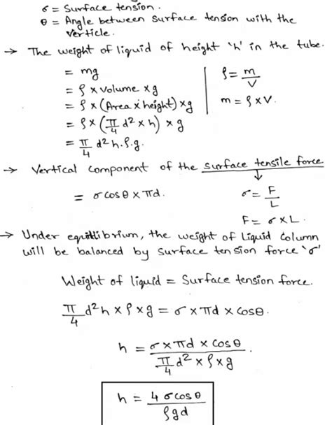 What is Surface Tension | Definition of Surface Tension, Examples and Test